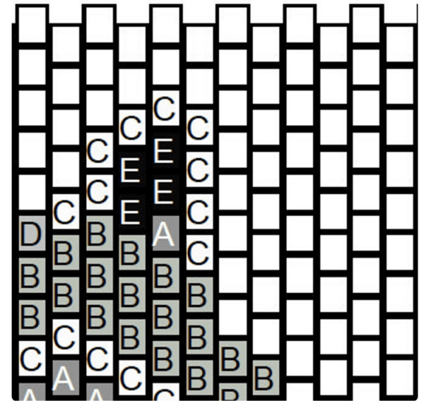 Diagramme Raton laveur – Image 2